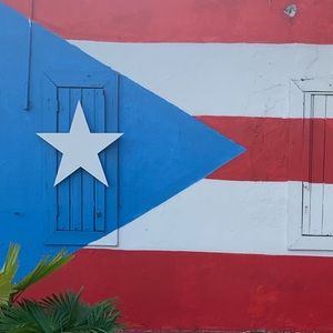 Meet your Posher, Lyne